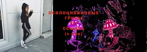 бошки Абаза