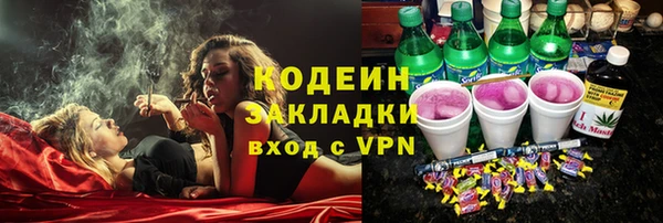 прущие грибы Абинск