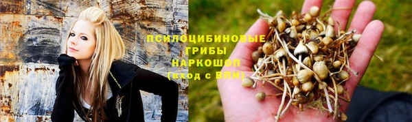 спайс Алексин